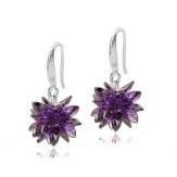 Cercei Aglaya violet Cercei Aglaya violet